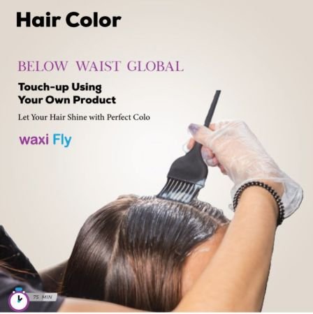 Below Waist Global Hair Color Touch-up Using Your Own Product