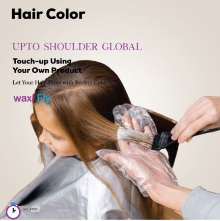 Upto Shoulder Global Hair Color - Touch-up Using Your Own Product